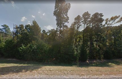 Undeveloped Land for sale in Camp County, Texas