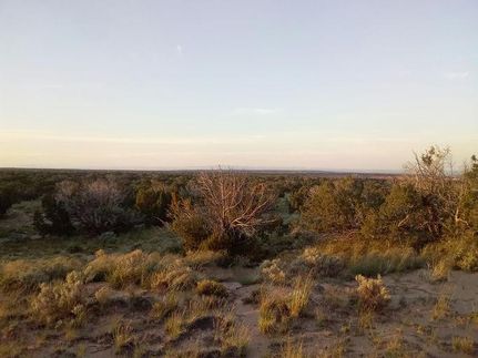 Undeveloped Land for sale in Apache County, Arizona
