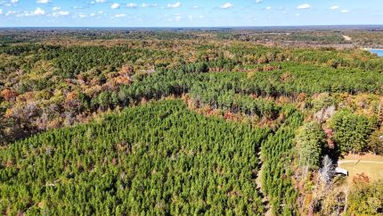 Undeveloped Land for sale in Bradley County, Arkansas