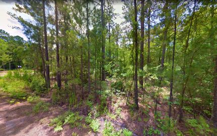 Riverfront Property for sale in Jasper County, Texas