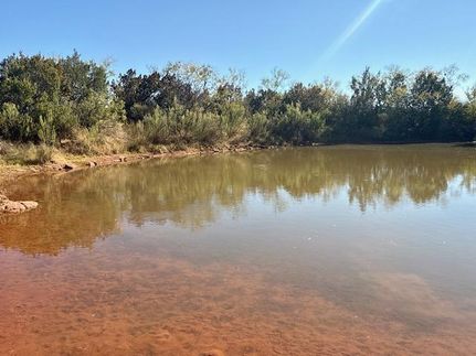 Recreational Property for sale in Coke County, Texas