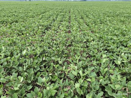 Farm Property for sale in Madison County, Ohio