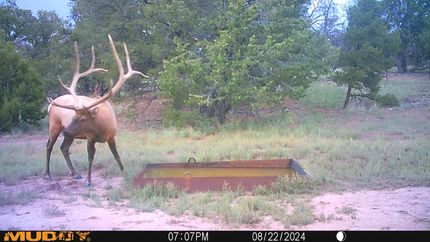 Property in Catron County, New Mexico