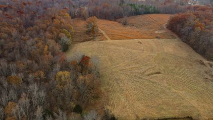 Property for sale in Lauderdale County, Alabama