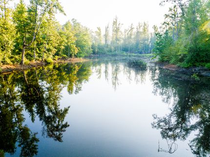 Timberland Property for sale in Itawamba County, Mississippi