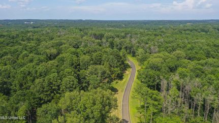 Undeveloped Land for sale in Madison County, Mississippi