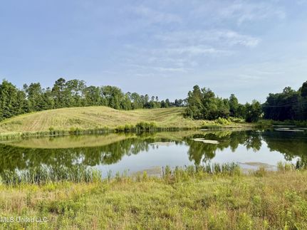 Lakefront Property for sale in Winston County, Mississippi