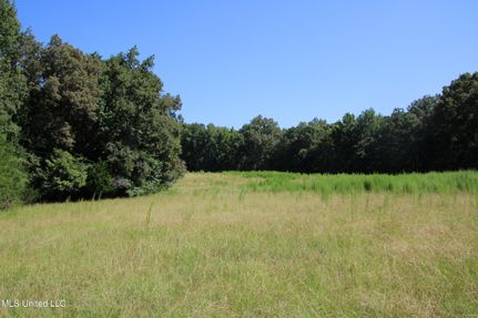 Ranch Property for sale in Holmes County, Mississippi