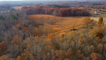 Undeveloped Land for sale in Lauderdale County, Alabama
