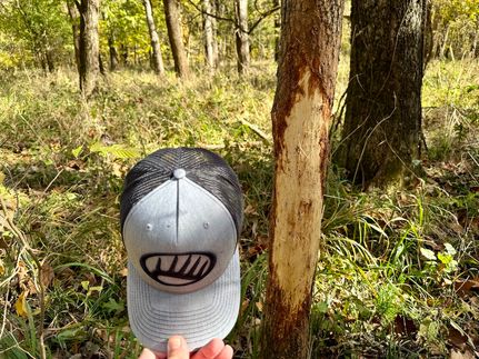 Farm Property for sale in Jasper County, Missouri