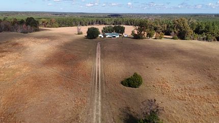 Hunting Land for sale in Winn Parish, Louisiana