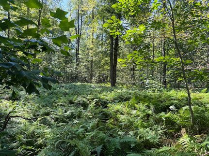 Property for sale in Erie County, Pennsylvania