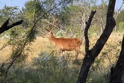 Farm Property for sale in Milam County, Texas