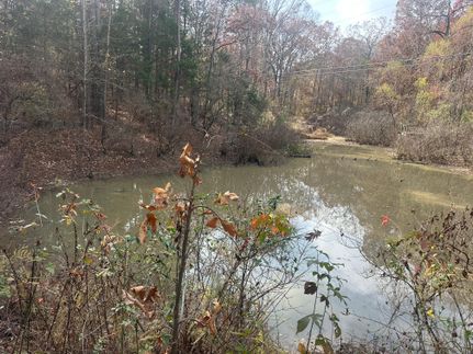 Recreational Property for sale in Panola County, Mississippi