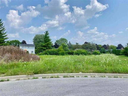 Undeveloped Land for sale in Saginaw County, Michigan