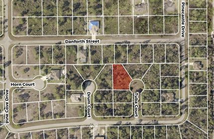 Undeveloped Land for sale in Lee County, Florida