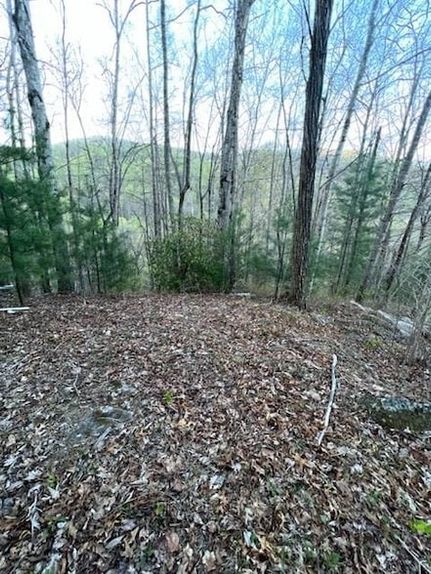 Undeveloped Land for sale in Macon County, North Carolina