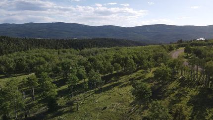 Property for sale in Colfax County, New Mexico