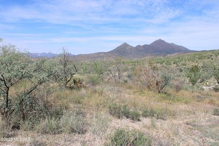 Property for sale in Santa Cruz County, Arizona