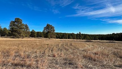 Property for sale in Custer County, South Dakota