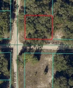 Undeveloped Land for sale in Marion County, Florida