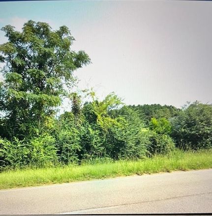 Undeveloped Land for sale in Lee County, Georgia