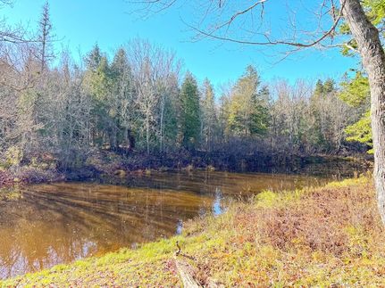 Property for sale in Chippewa County, Michigan