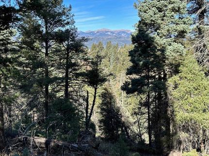 Property for sale in Colfax County, New Mexico