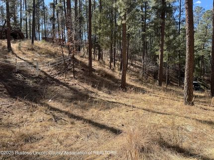 Property for sale in Lincoln County, New Mexico