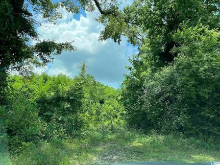 Property for sale in Shelby County, Alabama