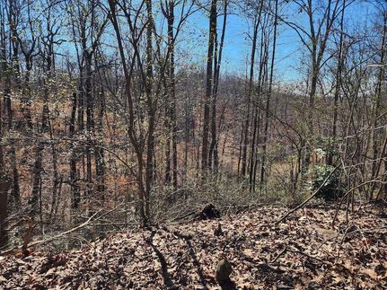 Undeveloped Land for sale in Cullman County, Alabama