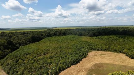 Property for sale in Clay County, Arkansas