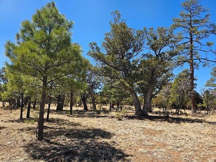Property for sale in Coconino County, Arizona