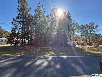 Undeveloped Land for sale in Chesterfield County, South Carolina