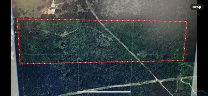 Timberland Property for sale in Harrison County, Texas