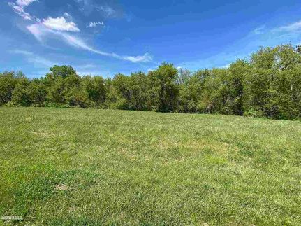 Undeveloped Land for sale in Carroll County, Illinois