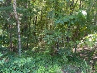 Property for sale in Madison County, Tennessee