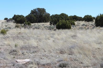 Residential Property for sale in Apache County, Arizona