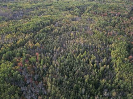 Property for sale in Koochiching County, Minnesota