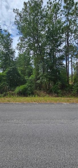 Undeveloped Land for sale in Marion County, Florida