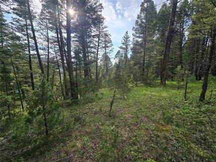 Property for sale in Granite County, Montana