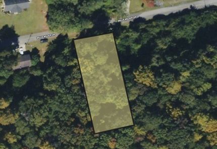Undeveloped Land for sale in Monroe County, Georgia