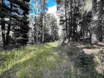Property for sale in Colfax County, New Mexico