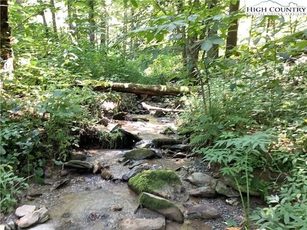 Undeveloped Land for sale in Watauga County, North Carolina
