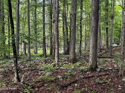 Property for sale in Pike County, Pennsylvania