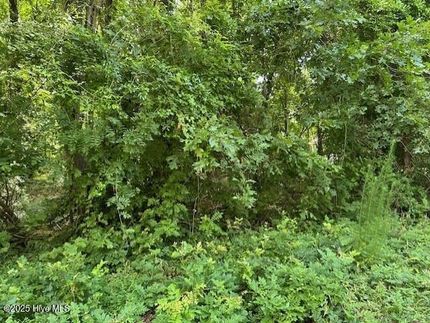 Undeveloped Land for sale in Perquimans County, North Carolina