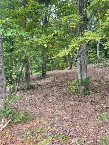 Property for sale in Greene County, Tennessee