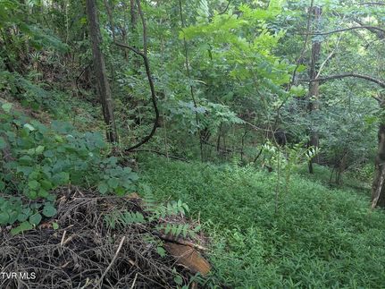 Property for sale in Sullivan County, Tennessee