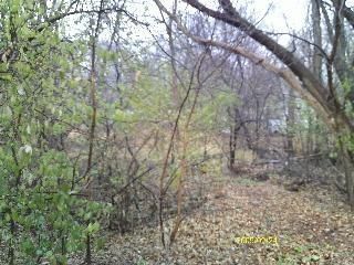 Undeveloped Land for sale in Lake County, Illinois