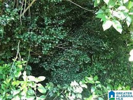 Property for sale in Jefferson County, Alabama